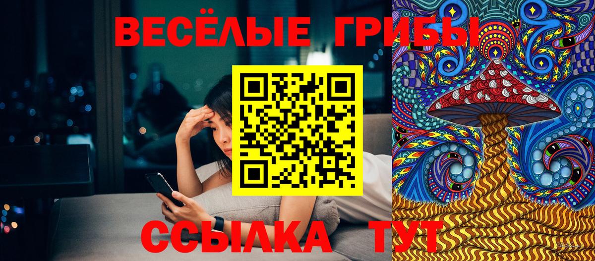 Псилоцибиновые грибы ЛСД  Вход с VPN  закладка  Егорьевск 